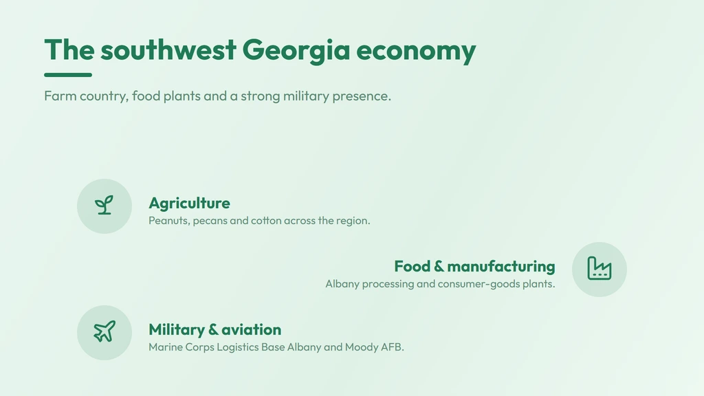 Southwest Georgia economy on 229 — agriculture, food and manufacturing, and a strong military and aviation presence