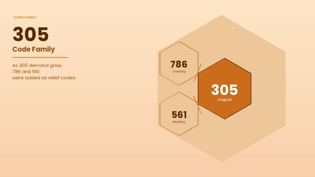 305 area code overlays — 305 original, 786 overlay and nearby South Florida codes
