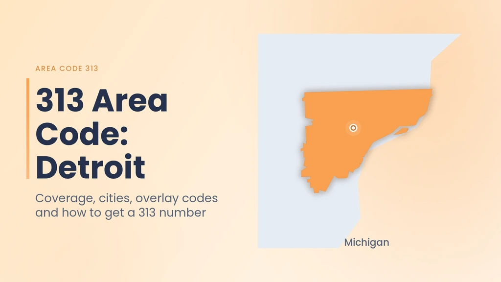 313 Area Code: Detroit, Michigan — Cities, Overlay & Business Guide banner