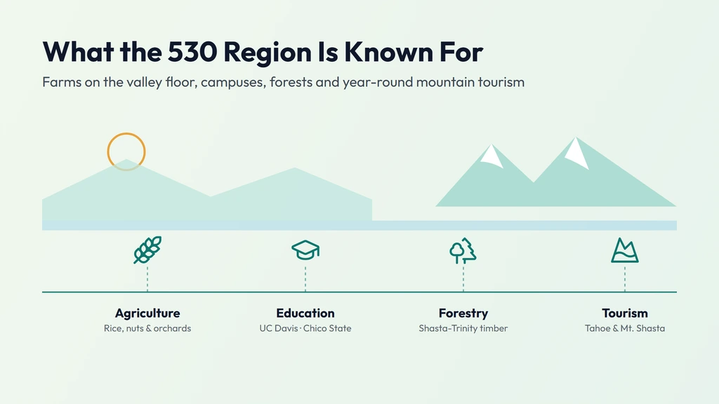 The 530 region's economy — Sacramento Valley agriculture, the University of California Davis and Chico State, northern forestry around Redding, and Lake Tahoe and Sierra tourism