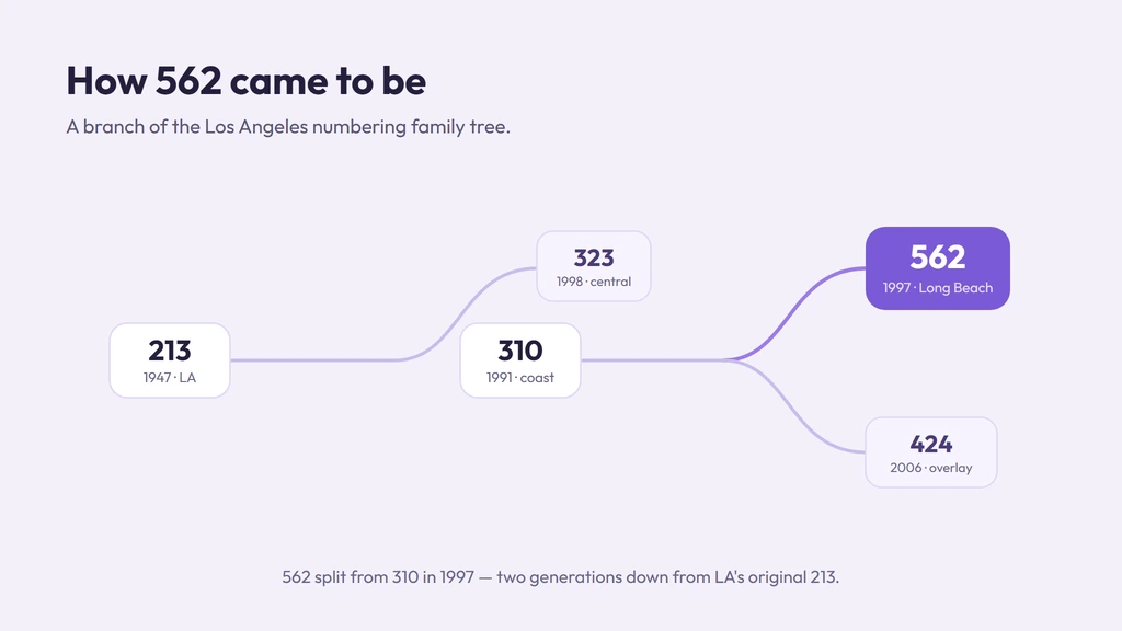 562 lineage — split from 310 in 1997, two generations down from Los Angeles' original 213