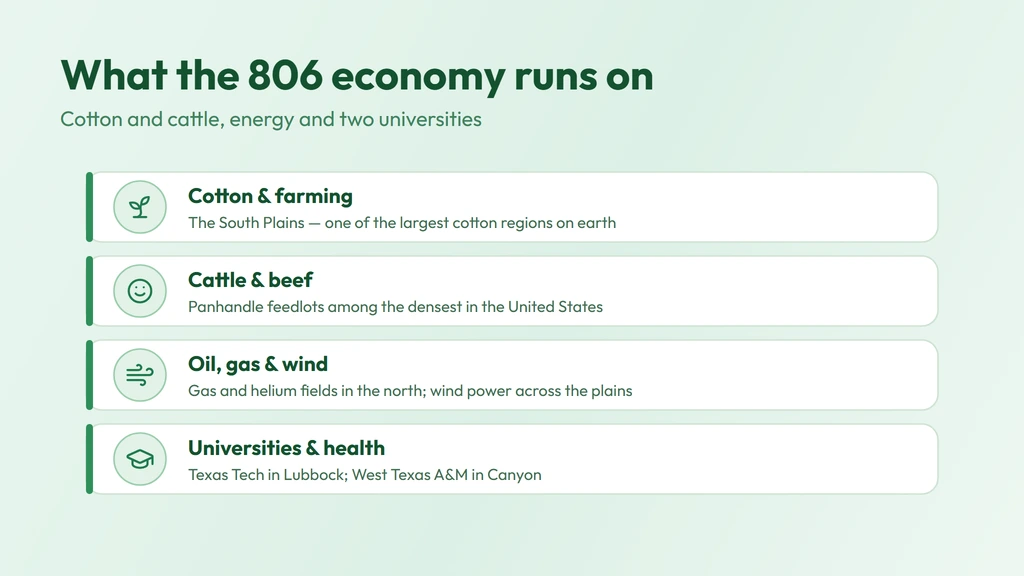 806 economy — cotton and farming on the South Plains, Panhandle cattle and beef, oil, gas and wind energy, and Texas Tech and West Texas A&M universities