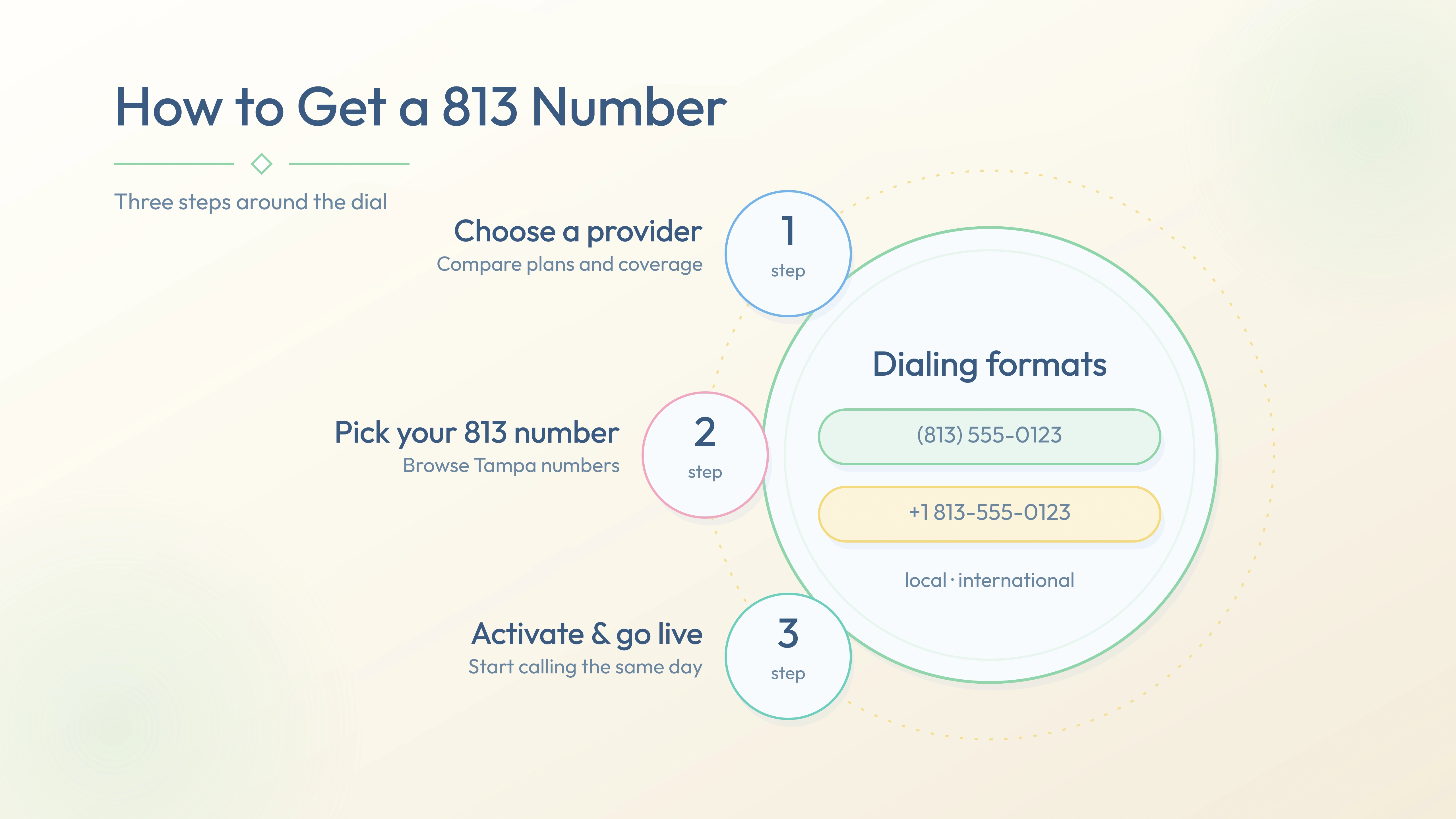Three steps to activate a 813 number — choose provider, pick number, go live