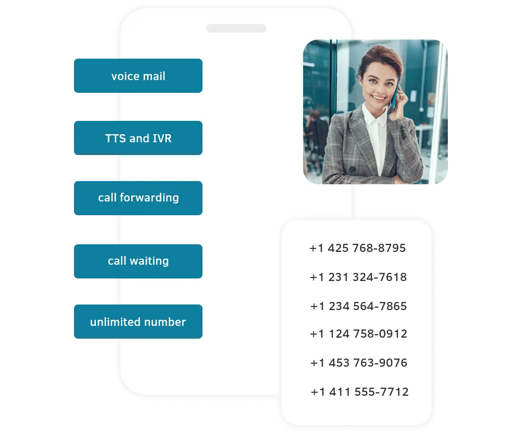 Wholsale-voip