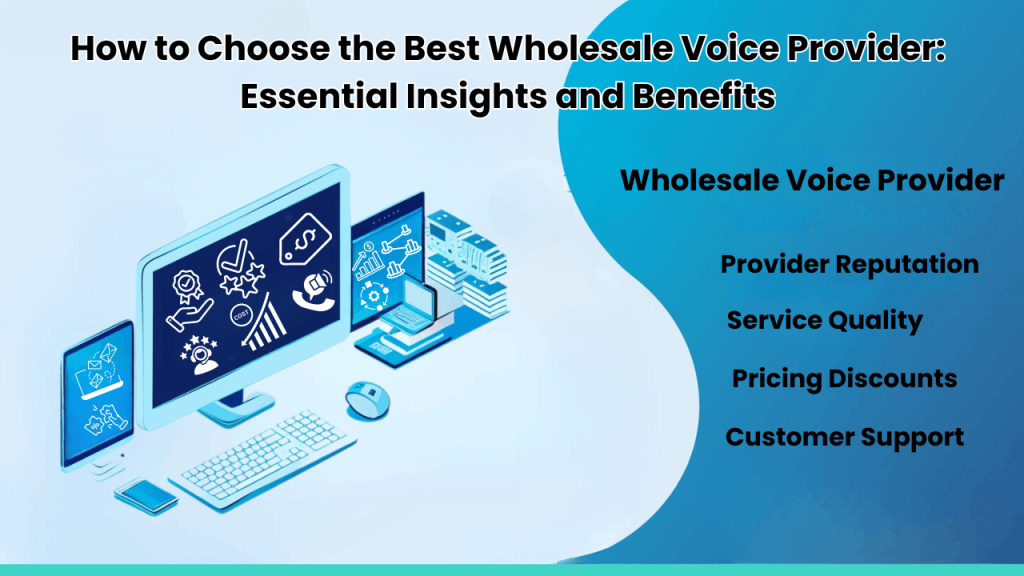 wholesale voice provider