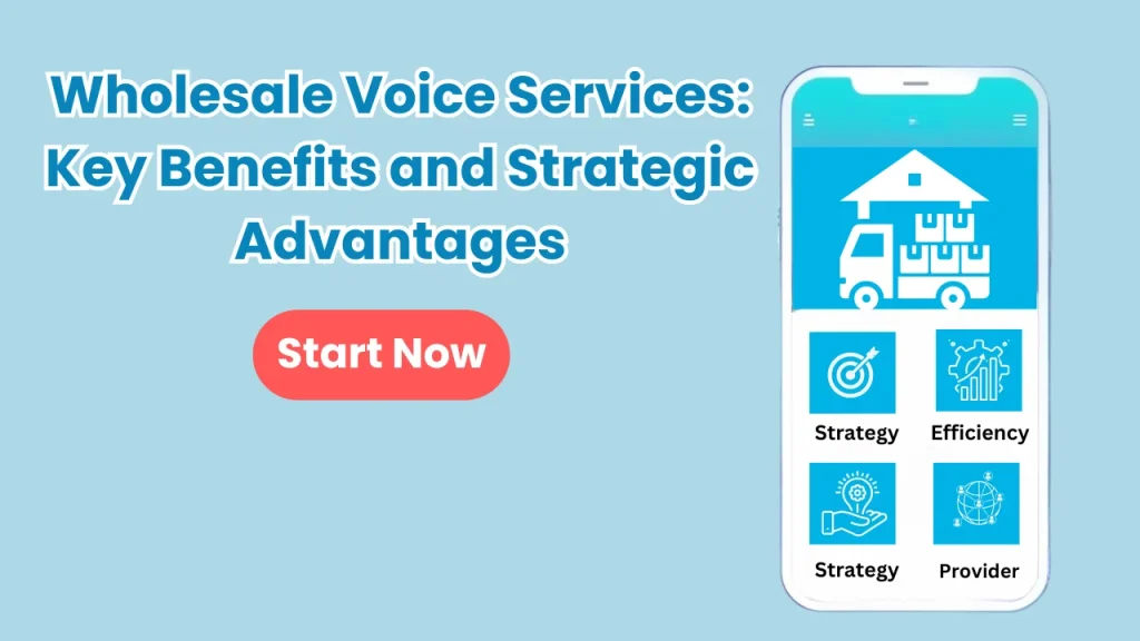 wholesale voice services