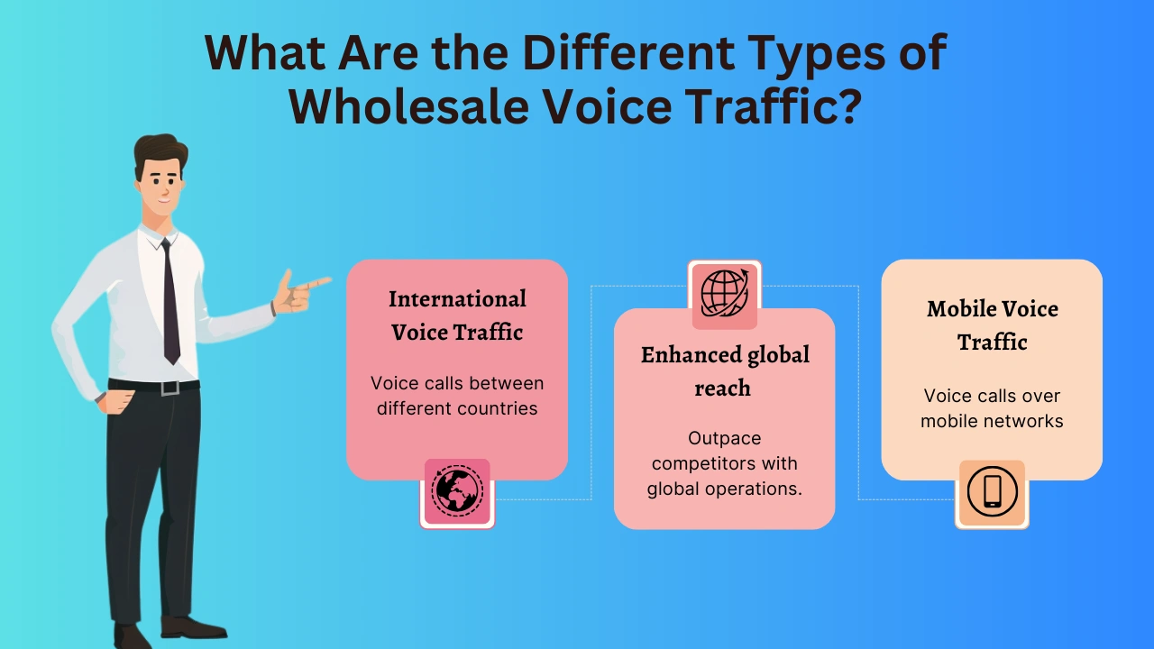 What Are the Different Types of Wholesale Voice Traffic