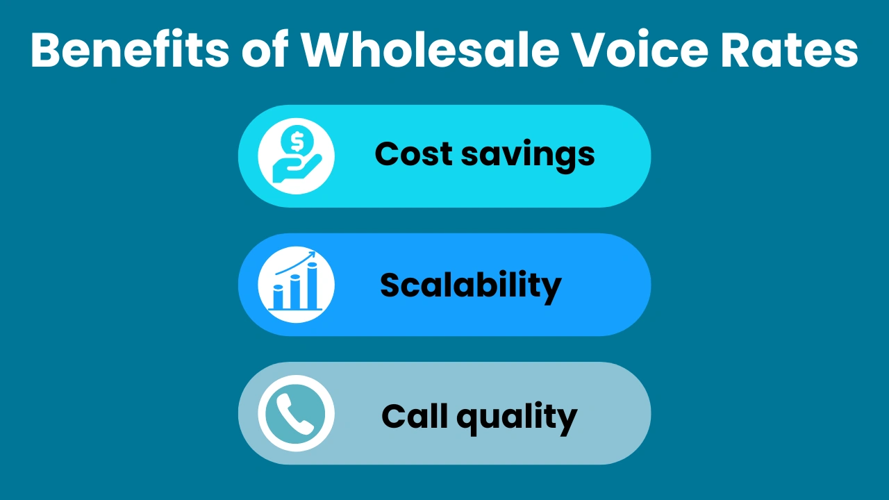 Benefits of Wholesale Voice Rates