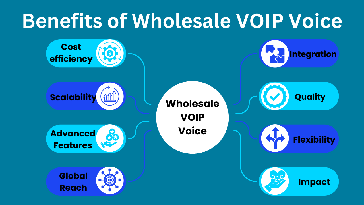 Benefits of wholesale voip voice