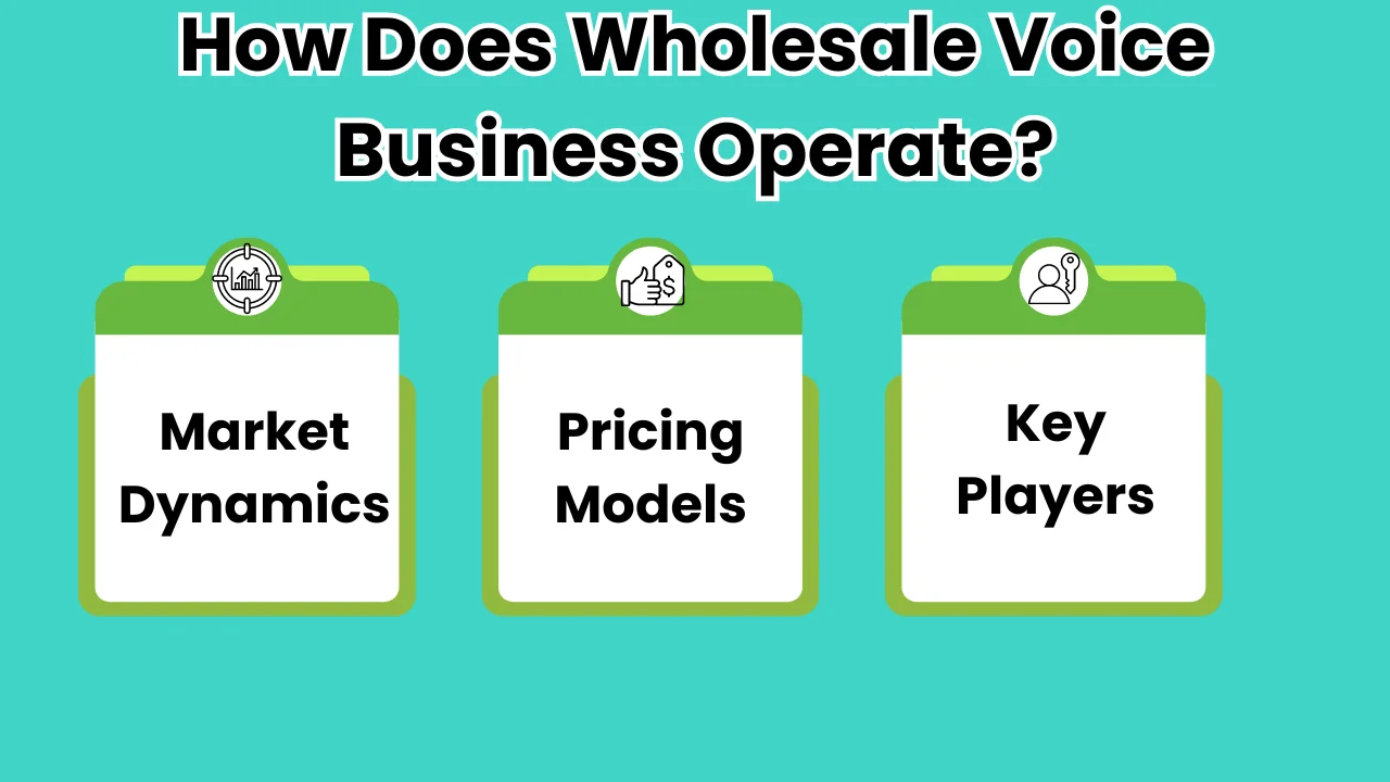 How Does Wholesale Voice Business Operate