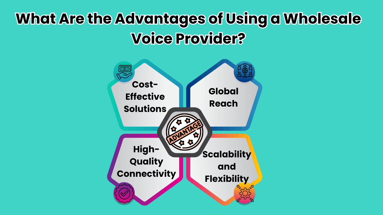 What Are the Advantages of Using a Wholesale Voice Provider