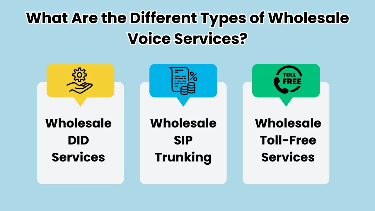 What Are the Different Types of Wholesale Voice Services