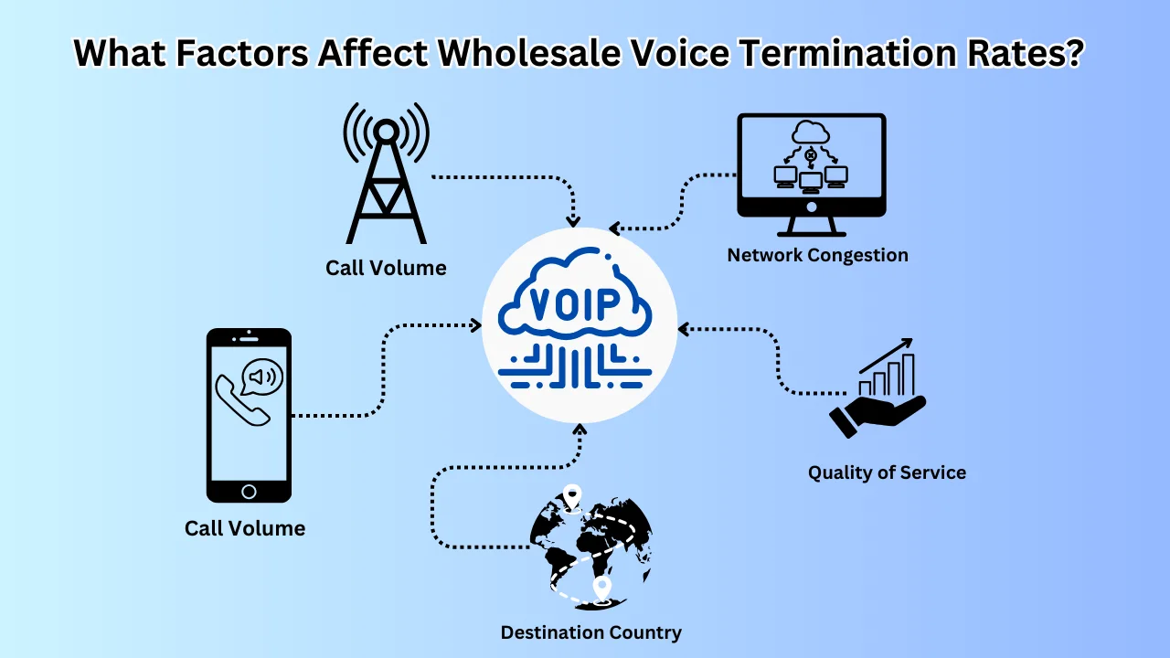 What Factors Affect Wholesale Voice Termination Rates