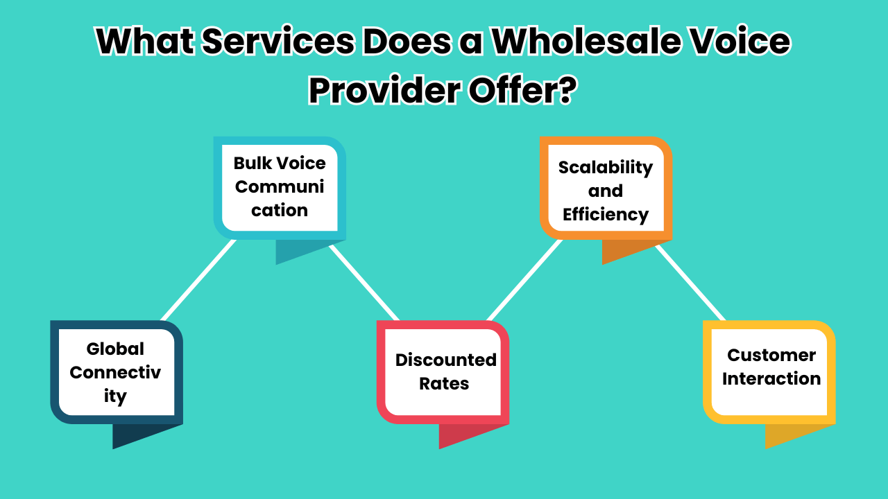 What Services Does a Wholesale Voice Provider Offer
