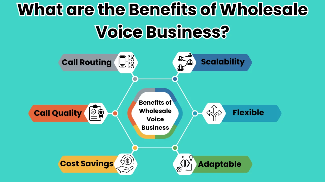 What are the Benefits of Wholesale Voice Business
