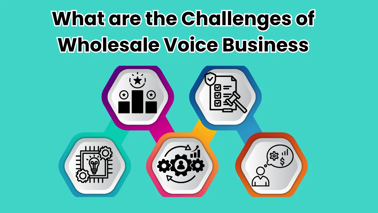 What are the Challenges of Wholesale Voice Business