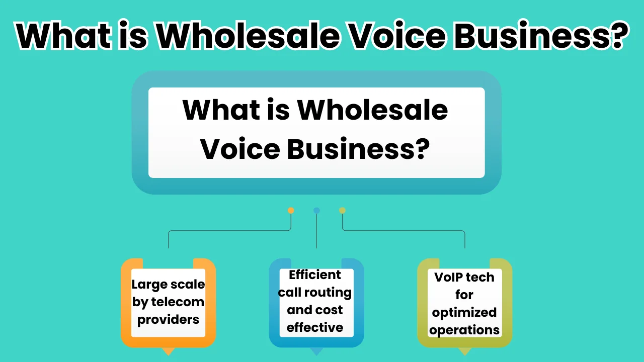 What is Wholesale Voice Business