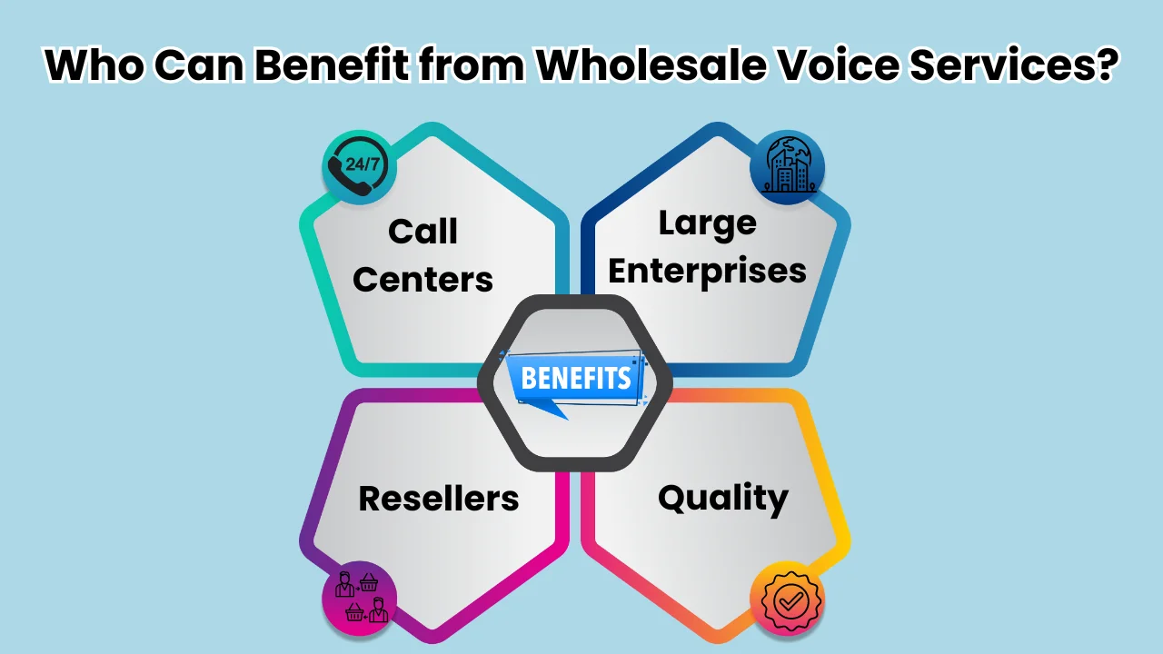 Who Can Benefit from Wholesale Voice Services