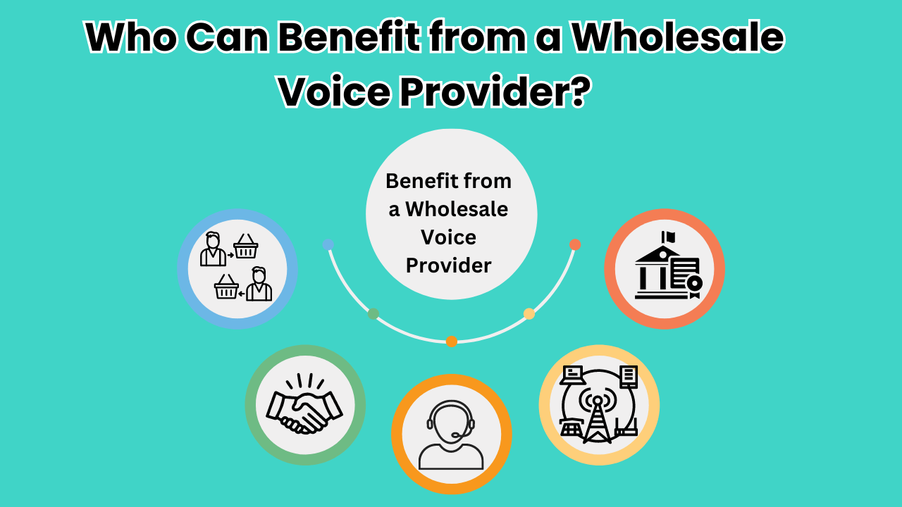 Who Can Benefit from a Wholesale Voice Provider