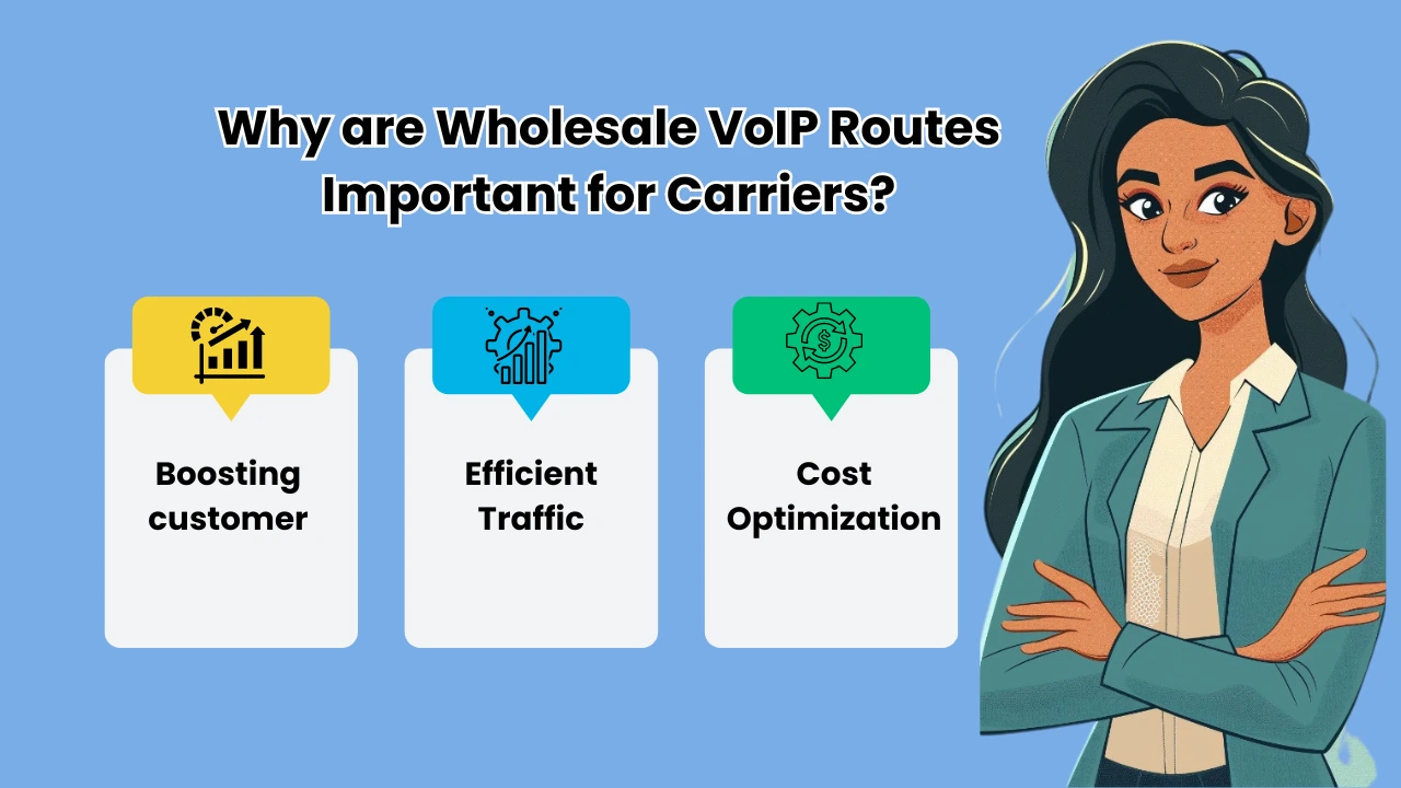 Why are Wholesale VoIP Routes Important for Carriers