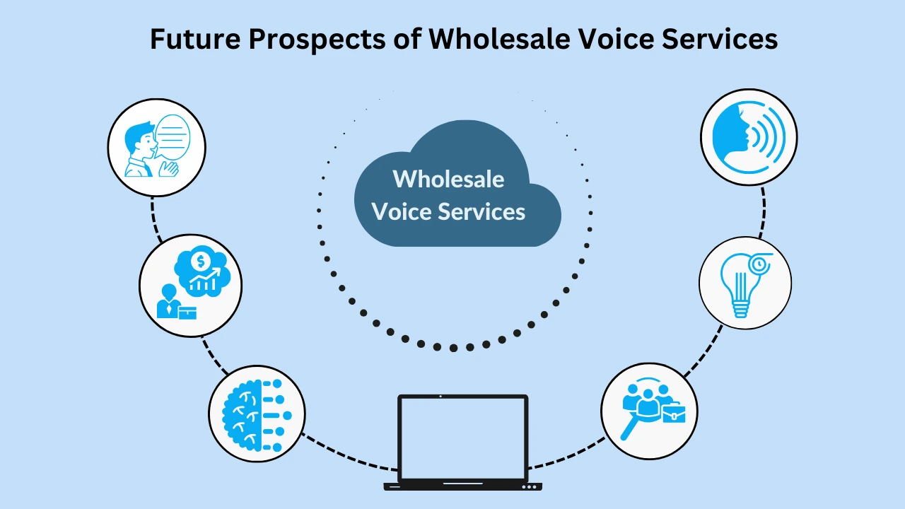 Future Prospects of Wholesale Voice Services