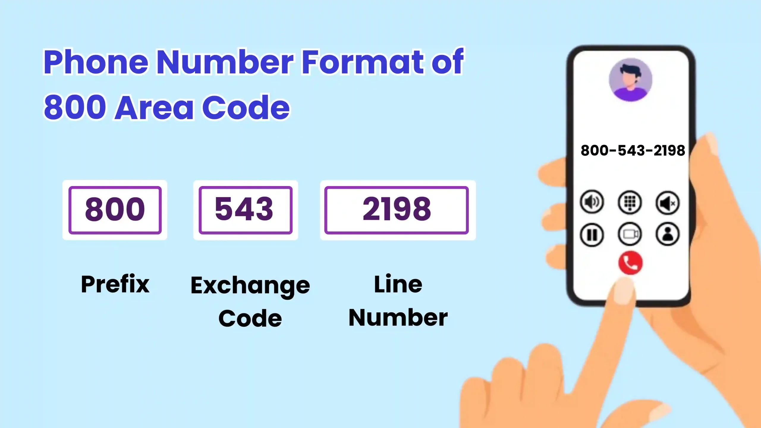 Phone Number Format of 800 Area Code